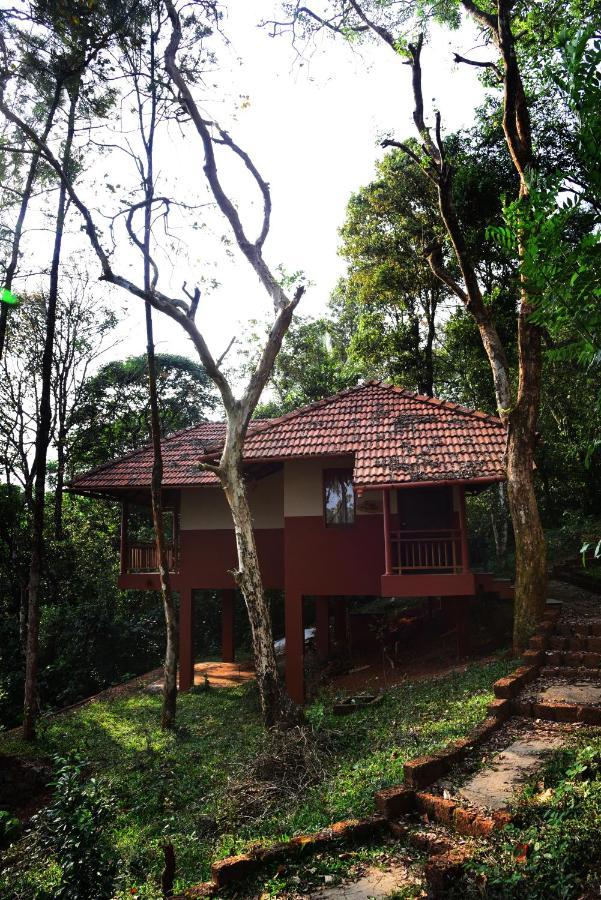 Terrace Resorts Wayanad Exterior photo